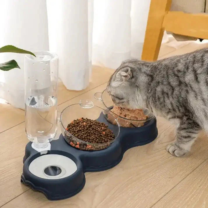 Pet feeding station featuring a food bowl with a water fountain for cats and small dogs