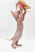 Hairless cat Frodo the Bambino Kitten having fun with a colorful feather toy