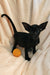 Black kitten with big ears playing next to an orange toy ball from Godwin Peterbald