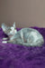 Gray and white Devon Rex kitten named Hank, perfect for cat lovers everywhere