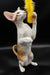 White Hector Oriental Kitten on hind legs reaching for a yellow feather