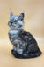 Hedwig | maine coon kitten