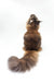 Long-haired brown Maine Coon kitten sitting with fluffy tail on display