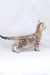 Spotted Bengal kitten for sale in the Hunter Bengal Kitten product line