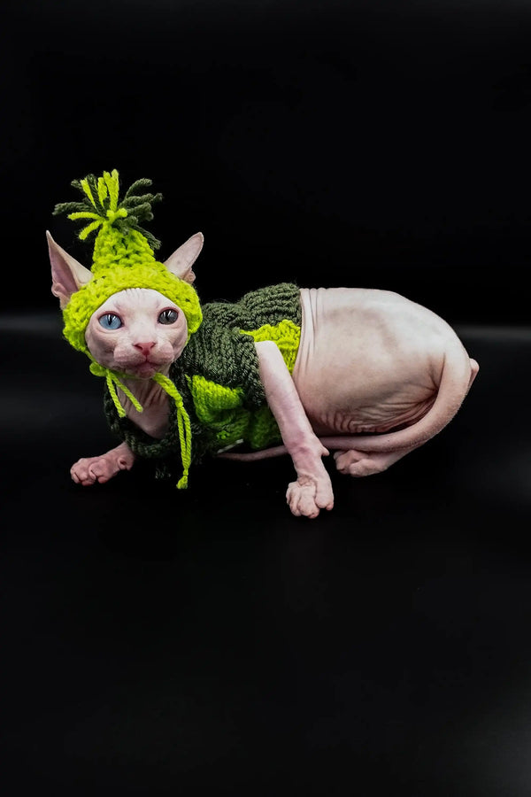 Adorable Indigo Sphynx Kitten rocking a pineapple hat and sweater outfit