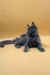 Gray long-haired Maine Coon kitten Irena lounging playfully on its side