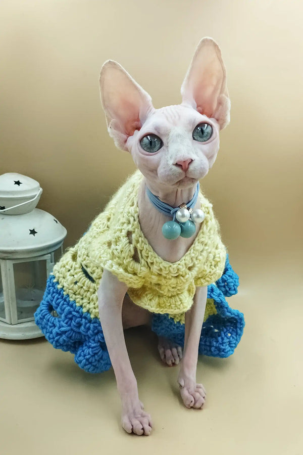 Adorable hairless Sphynx kitten Iris rocking a cute crocheted dress