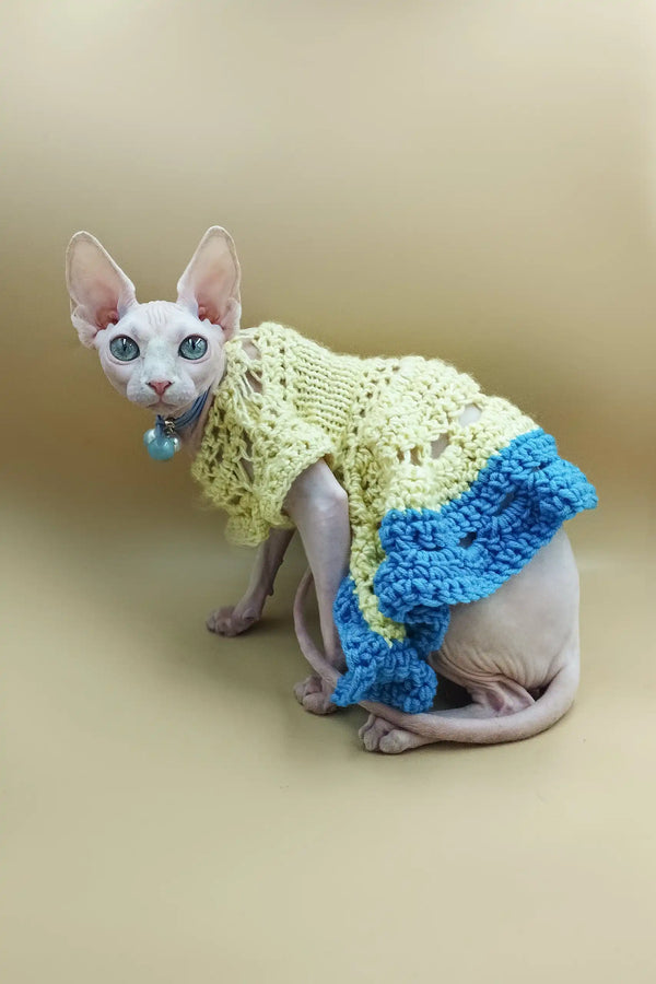 Hairless Sphynx kitten Iris rocking a cute crocheted dress
