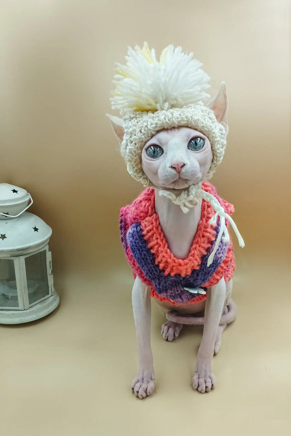 Hairless cat in cozy knitted hat and sweater for Iris Sphynx Kitten product