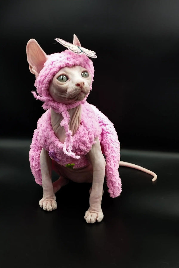 Hairless Iris Sphynx Kitten in a fluffy pink unicorn costume with a horn