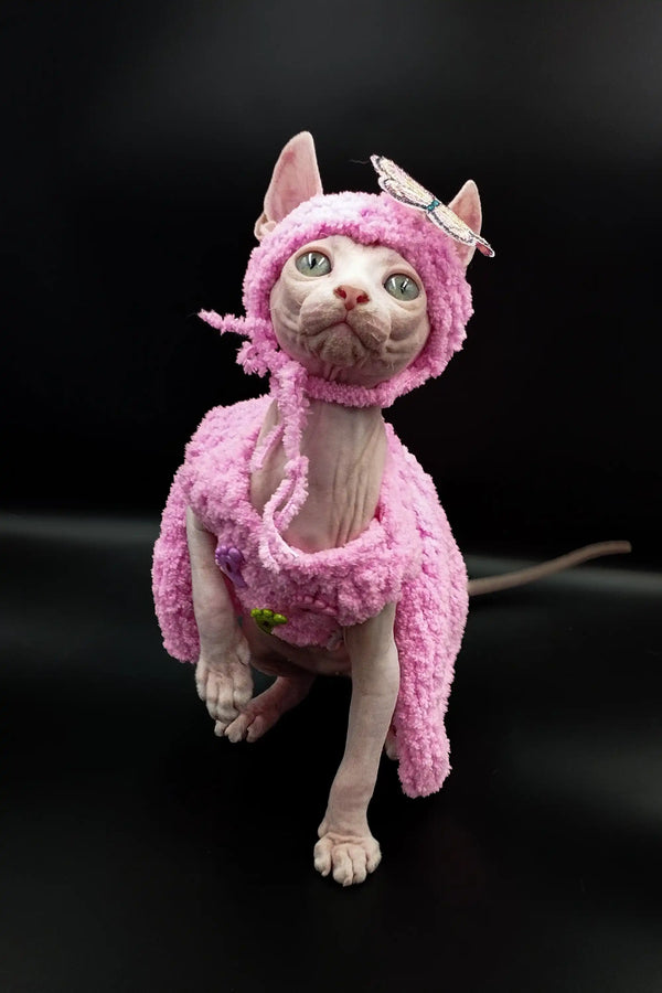 Iris Sphynx Kitten in a fluffy pink monster costume looking super cute and playful