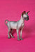 Irma | canadian sphynx kitten