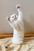 Playful white British Shorthair kitten named Ivi reaching up for fun