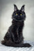 Majestic black Maine Coon kitten Ivon with striking yellow eyes and ear tufts