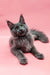 Gray Maine Coon kitten with green eyes lounging comfortably on its stomach