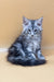 Gray tabby kitten from Jamaly, perfect companion for cat lovers everywhere