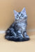 Cute Silver Tabby Maine Coon Kitten from Jamaly, perfect for pet lovers!