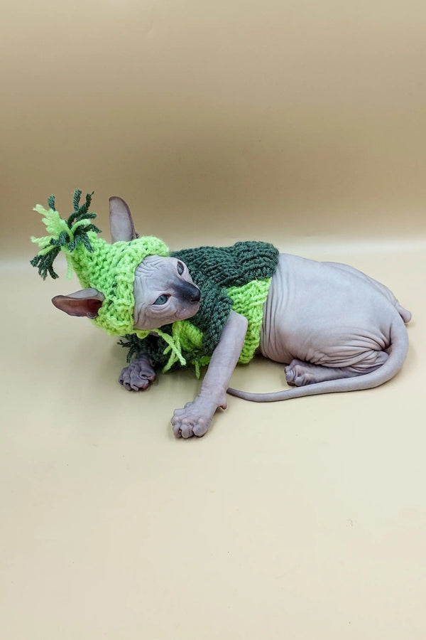 Adorable Sphynx kitten in a cute green dinosaur costume, perfect for pet lovers