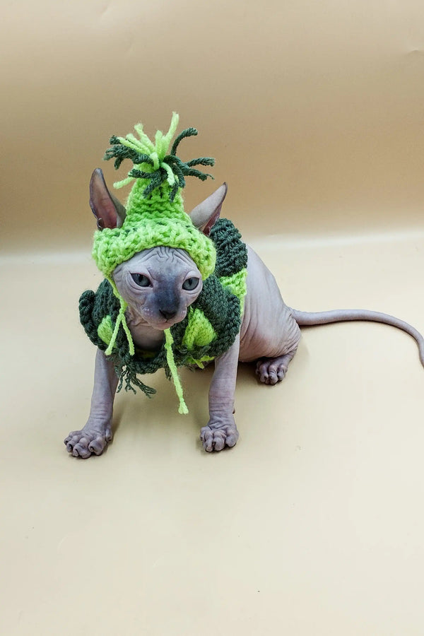 Adorable Sphynx Kitten in a cute green pineapple hat, perfect for your collection