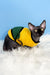 Cute Hairless Cat in a Yellow and Green Jacket from Joker Canadian Sphynx Kitten