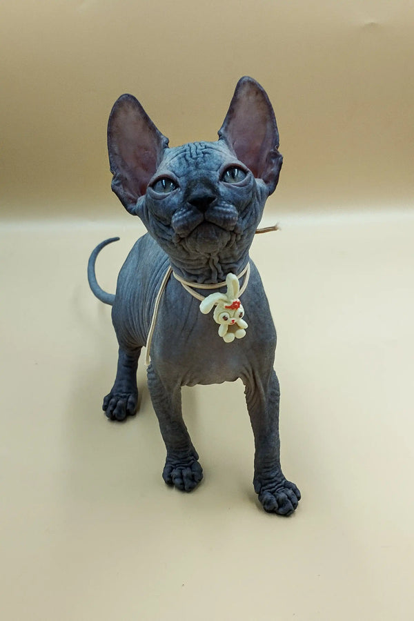 Hairless Sphynx kitten with big ears sporting a cute floral necklace, Jolly Sphynx