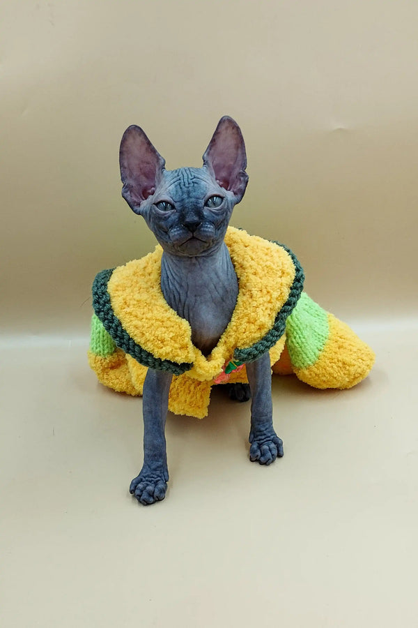 Hairless Jolly Sphynx Kitten in a cozy yellow and green knitted sweater