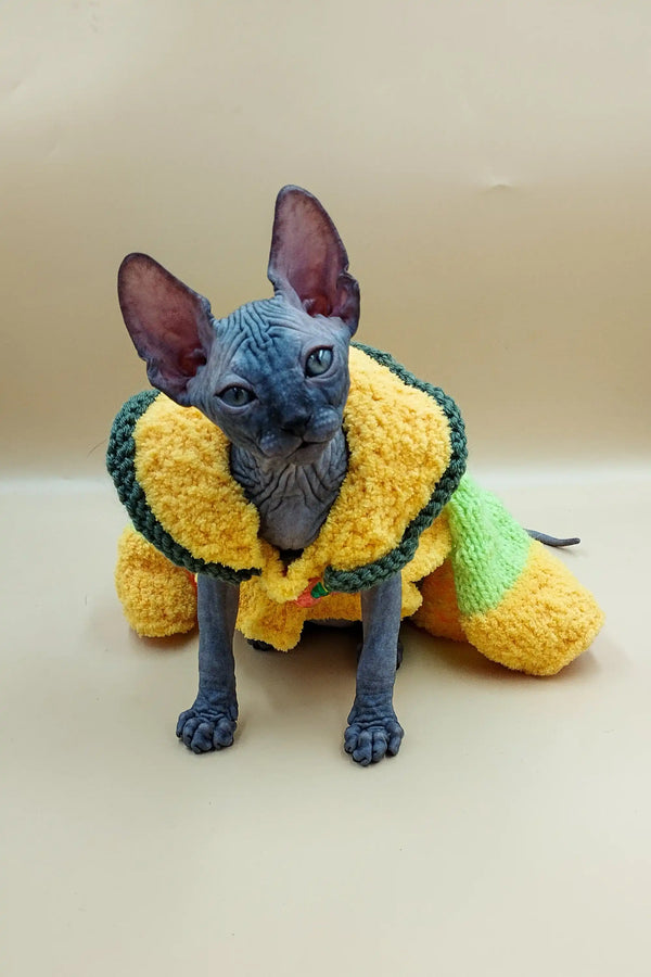 Sphynx kitten in a cozy yellow and green sweater, perfect for Jolly Sphynx lovers