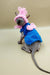 Adorable Sphynx kitten in a pink knit hat and blue sweater, named Josefina