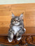 Fluffy gray and white Maine Coon kitten with tufted ears and curious gaze