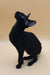 Black cat with pointed ears in alert pose for the Julian Oriental Kitten