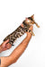 Bengal kitten with spotted coat held in human hands, showcasing its adorable charm