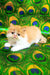 Katrin | persian kitten