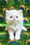 Kralya | Persian Kitten
