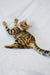 Playful Bengal cat with stripes lying on back in Kylie | Bengal Kitten product