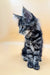 Gray tabby Maine Coon kitten with long fur and an alert expression