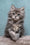 Lavanda | Siberian Kitten