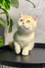 Cream-colored British Shorthair kitten Layla with bright green eyes sitting upright