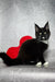 Black Maine Coon kitten with white paws beside a red heart shape