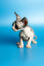 Adorable Sphynx kitten Leila with big ears and spotted skin on a shiny surface