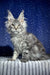 Majestic grey Maine Coon kitten Lexus with fluffy coat and cool ear tufts