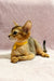 Abyssinian kitten named Lima wearing a cute yellow collar