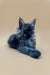 Fluffy dark Maine Coon kitten with pointed ears lounging cutely