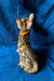 Cute Tabby kitten in an orange collar gazing up, perfect for Bengal Kitten lovers