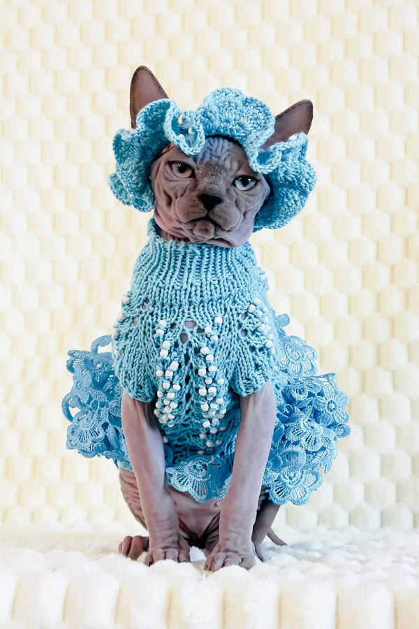 Margo | canadian sphynx kitten
