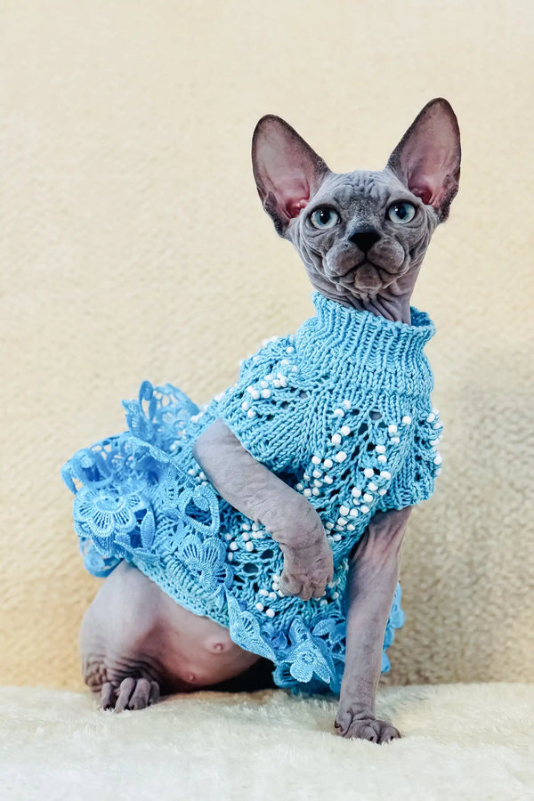 Margo | canadian sphynx kitten