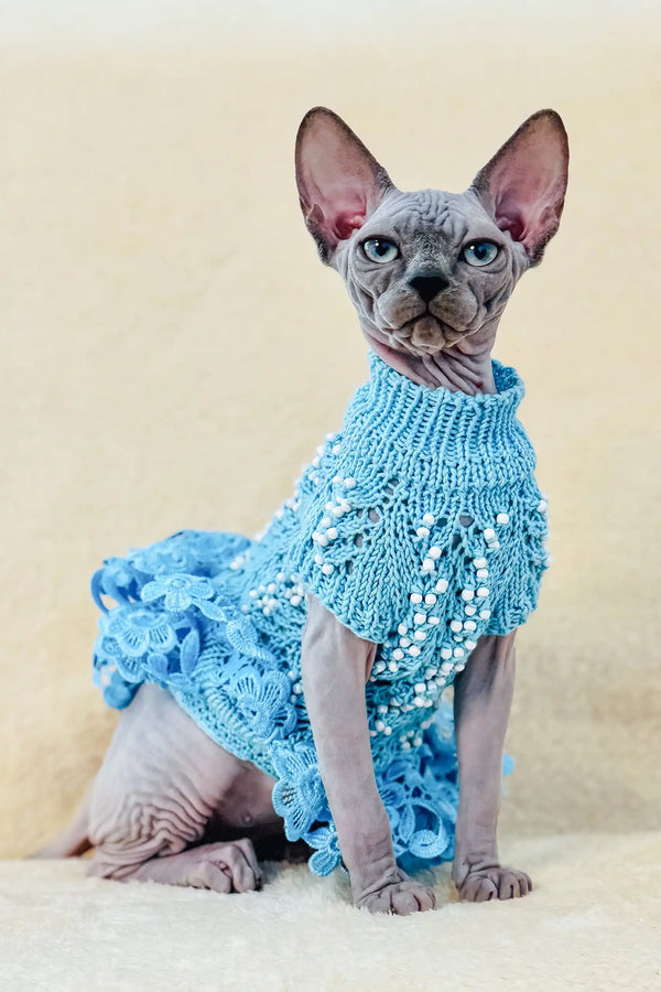 Margo | canadian sphynx kitten