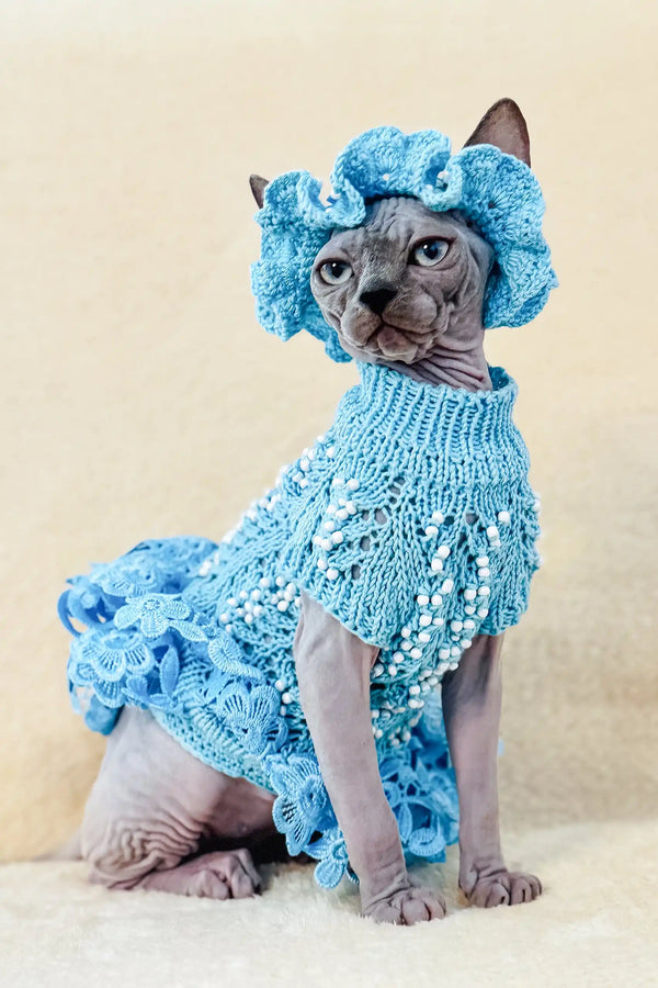 Margo | canadian sphynx kitten
