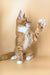 Adorable Ginger Maine Coon kitten named Marsel ready to bring joy and playfulness