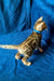 Bengal kitten with a spotted coat rocking a blue collar, perfect for pet lovers!