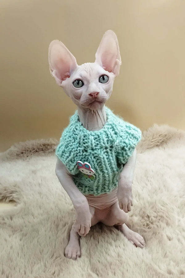 Matis | canadian sphynx kitten